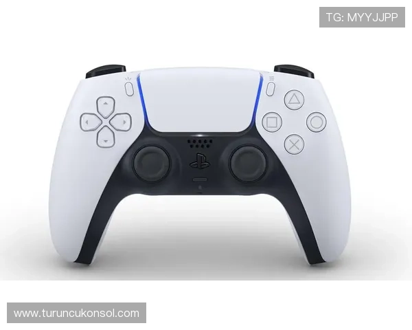 半岛体育官网安全漏洞防范措施详解确保平台稳定运行与用户信息安全的最佳实践