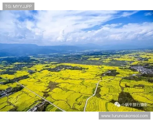 开云体育网投官方网站注册流程详解新手玩家快速入门指南